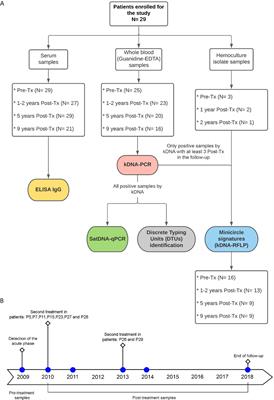 Characterization and Follow-Up of Trypanosoma cruzi Natural Populations Refractory to Etiological Chemotherapy in Oral Chagas Disease Patients